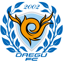 龍仁FC
